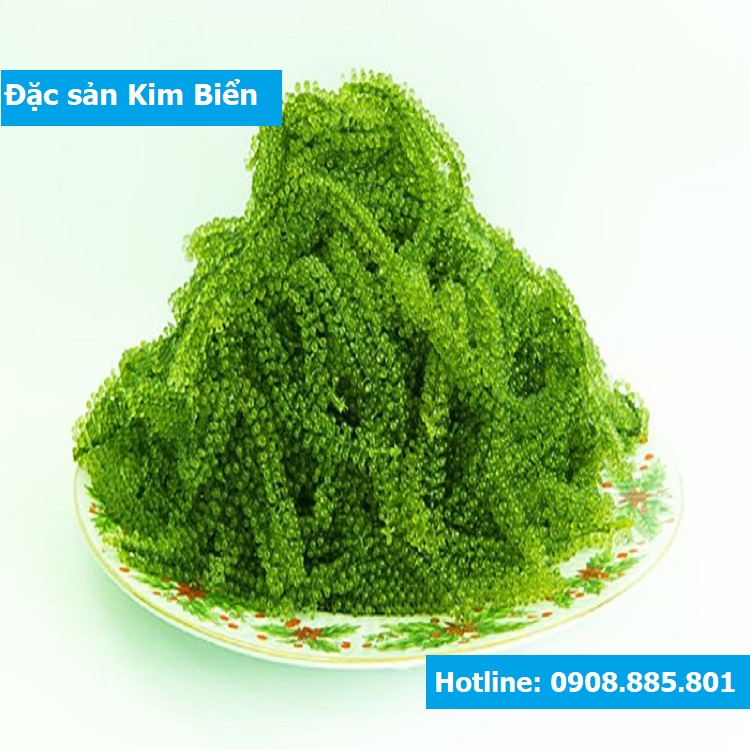 Rong nho tươi Nha Trang